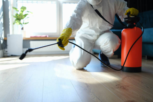 Reliable Sewage Cleanup contractor in Marshall, WA by Trauma Clean Pros